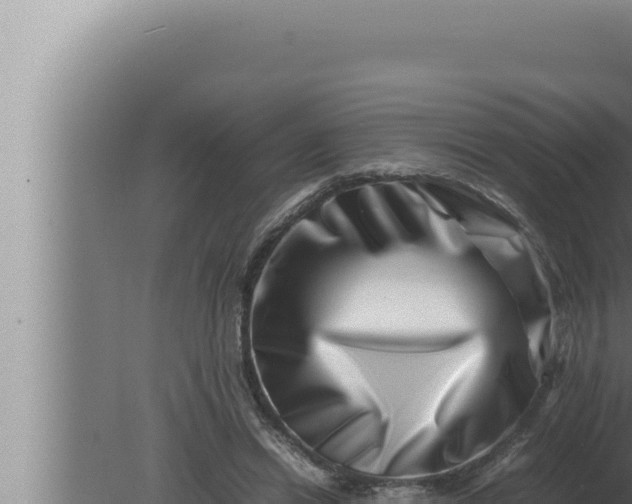 X0000080110446200612221809