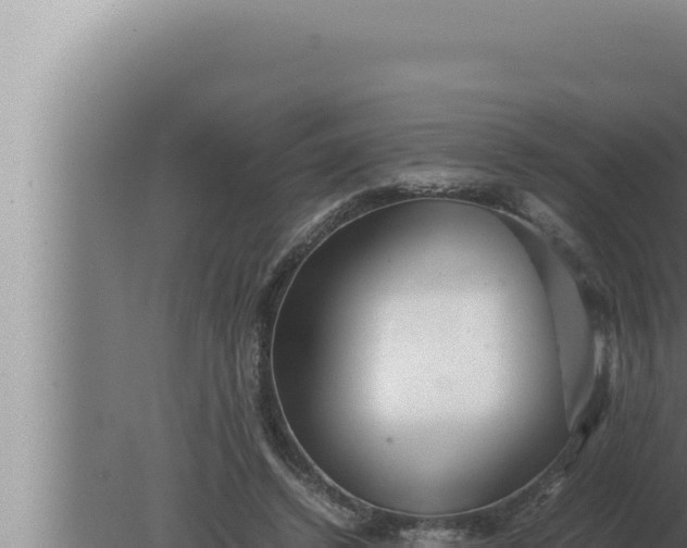 X0000080110448200612221809