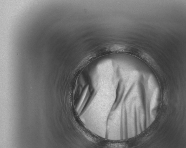 X0000080110449200612221809