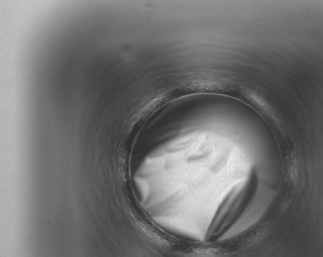 X0000080110450200612221809