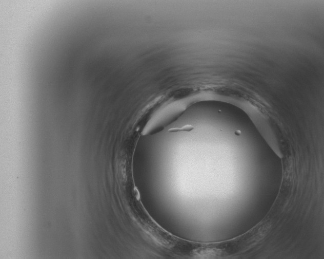 X0000080110452200612221809