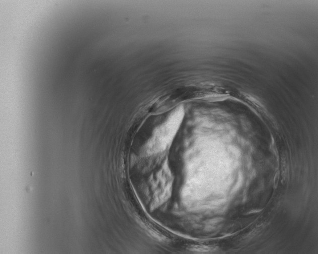 X0000080110453200612221809