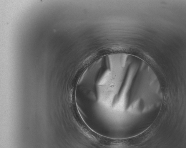 X0000080110454200612221809