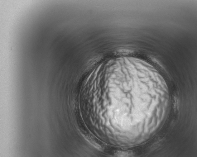 X0000080110455200612221809