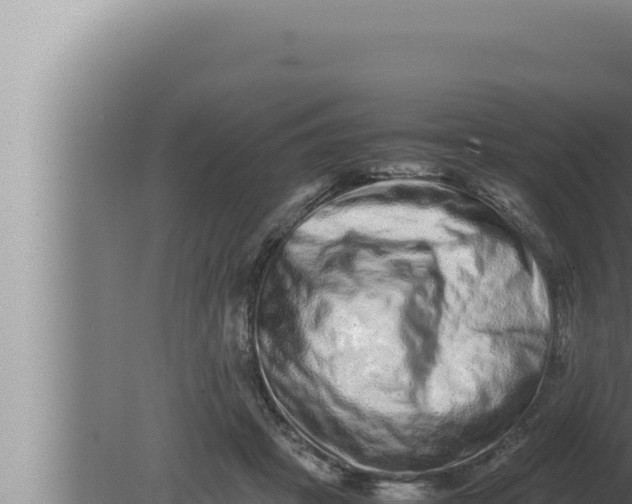 X0000080110457200612221809