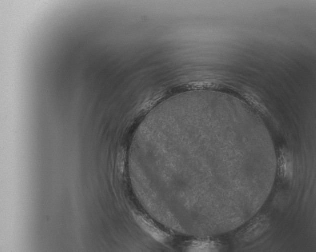 X0000080110458200612221809