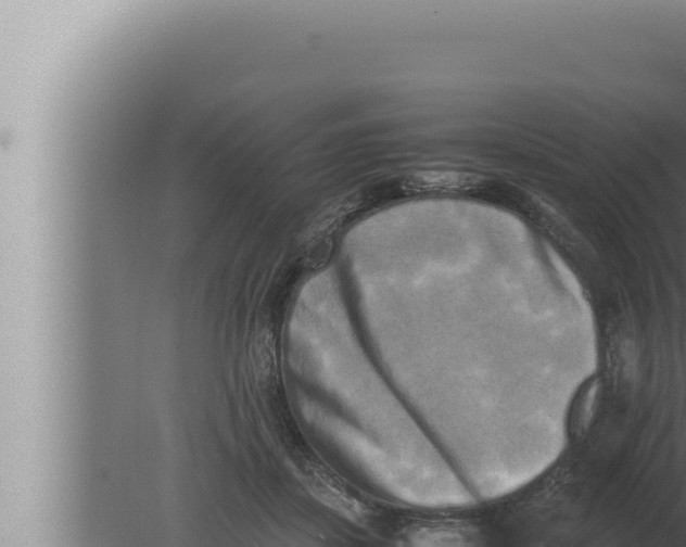 X0000080110459200612221809