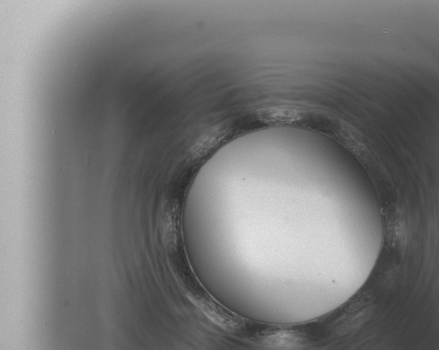 X0000080110460200612221809