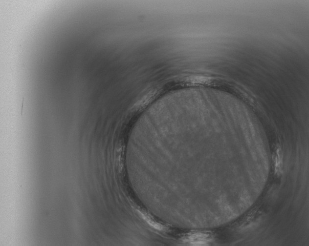 X0000080110462200612221809