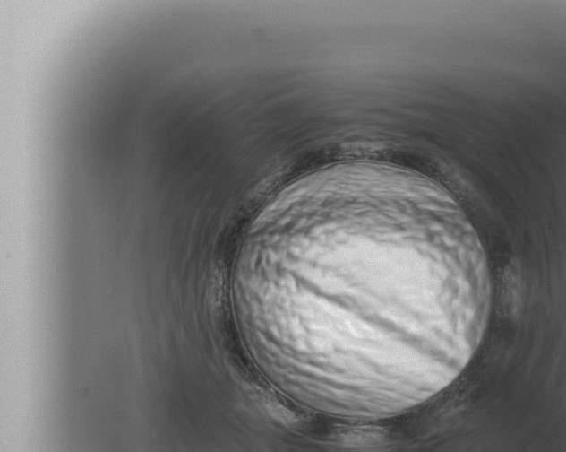 X0000080110463200612221809