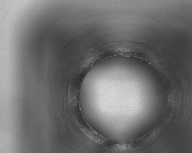 X0000080110464200612221809