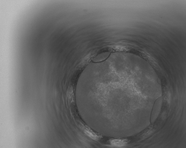 X0000080110465200612221809