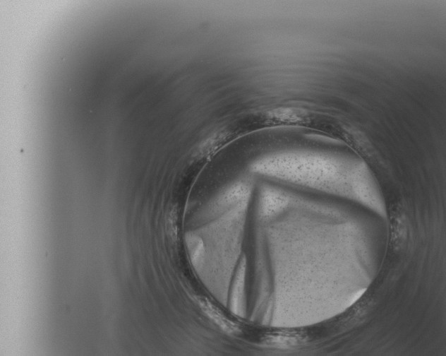 X0000080110466200612221809