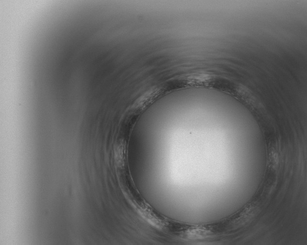 X0000080110468200612221809