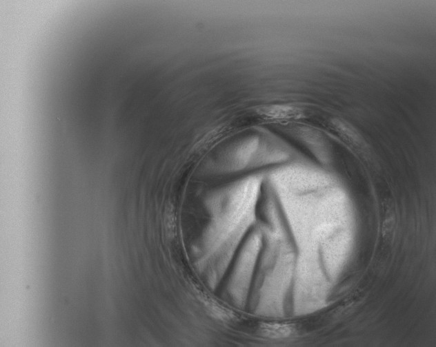 X0000080110469200612221809