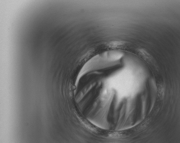 X0000080110470200612221809