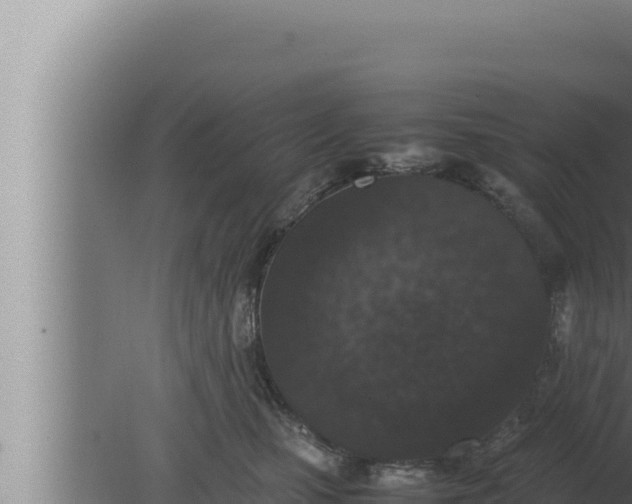 X0000080110471200612221809