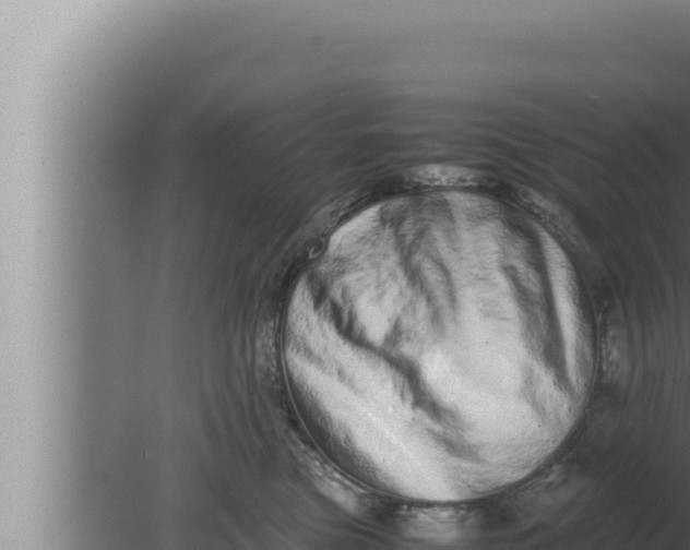 X0000080110473200612221809