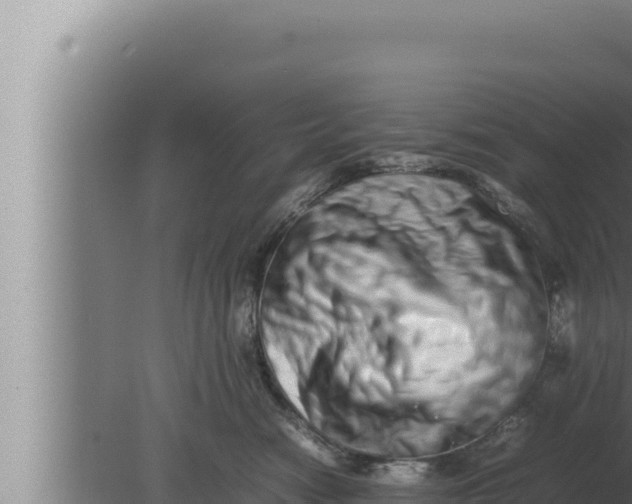 X0000080110474200612221809