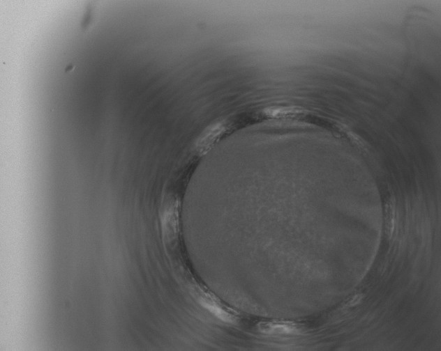 X0000080110475200612221809