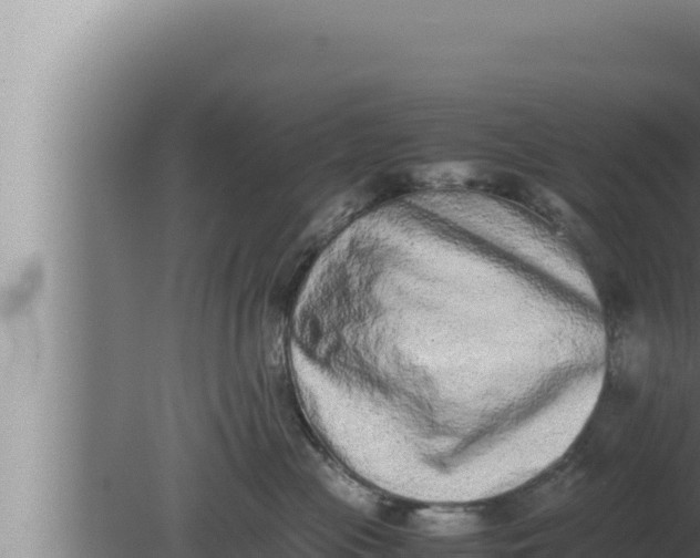 X0000080110477200612221809