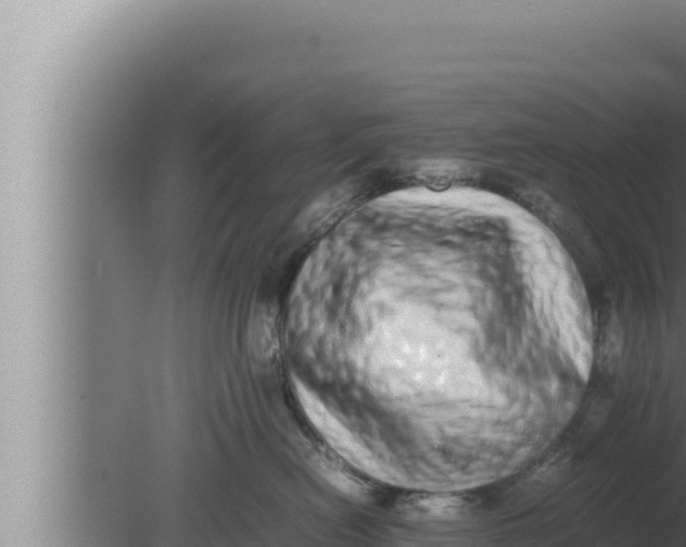 X0000080110478200612221809