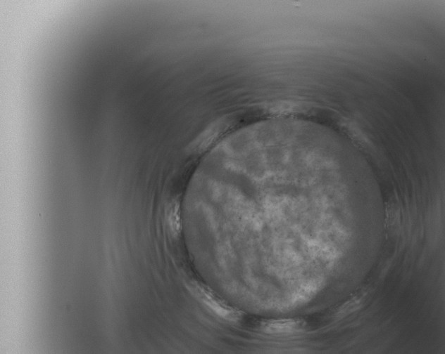 X0000080110479200612221809