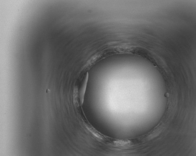 X0000080110480200612221809