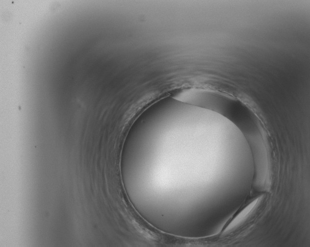 X0000080110481200612221809