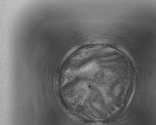 X0000080110483200612221808