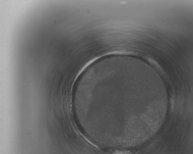 X0000080110484200612221808