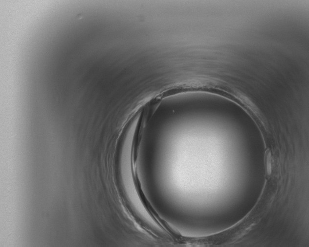 X0000080110485200612221808