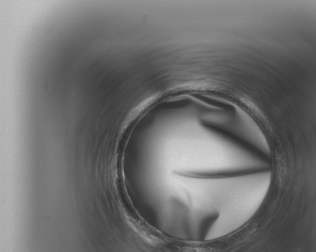 X0000080110486200612221808