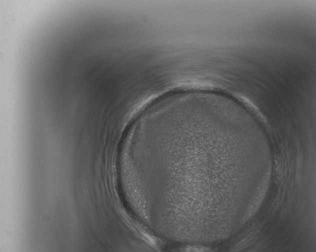 X0000080110487200612221808