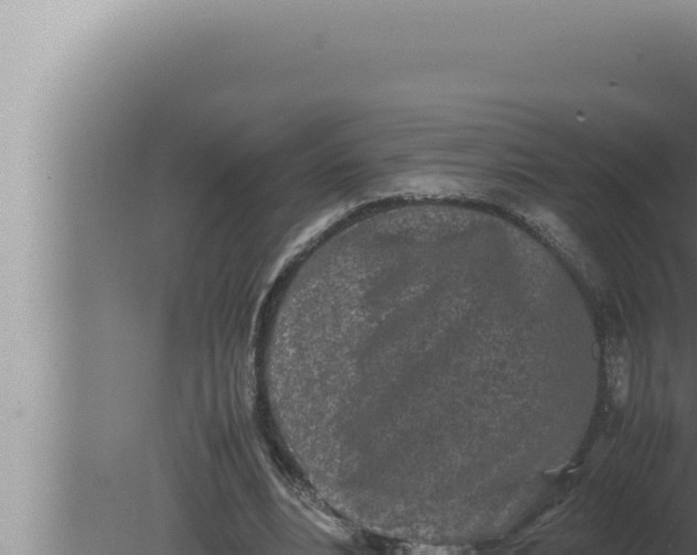 X0000080110488200612221808