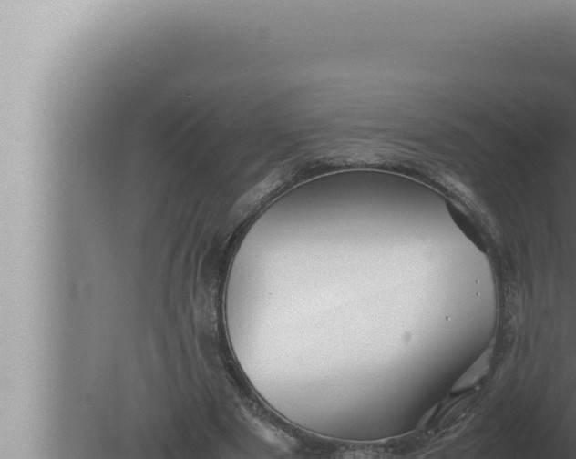 X0000080110489200612221808