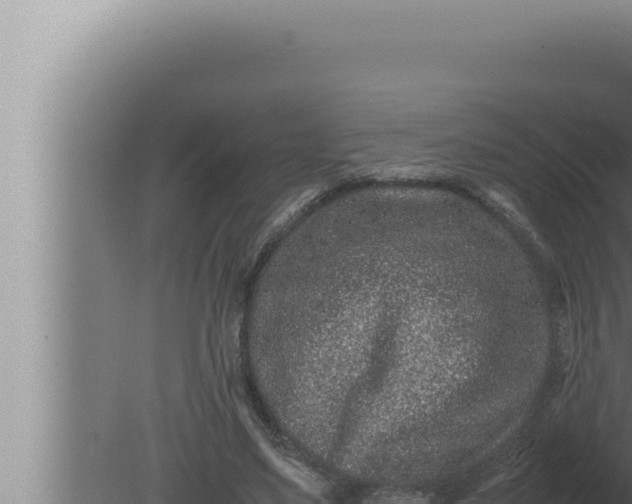 X0000080110491200612221808