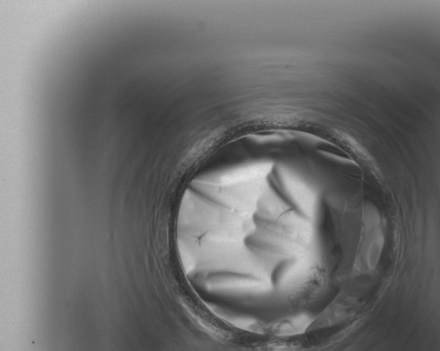 X0000080110493200612221808