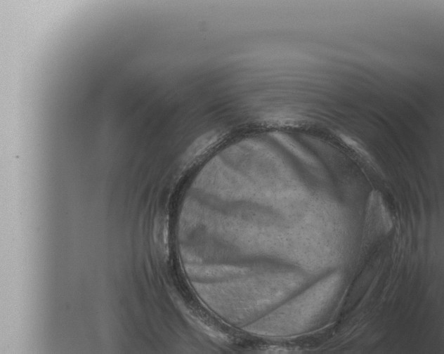 X0000080110494200612221808