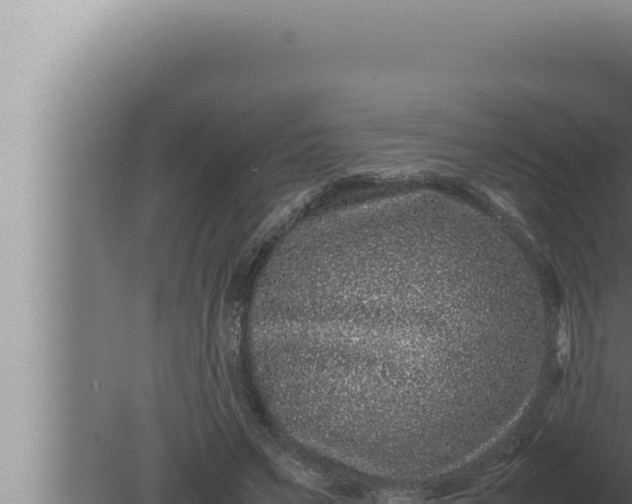 X0000080110495200612221808