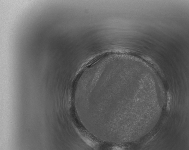 X0000080110496200612221808