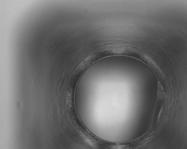 X0000080110497200612221808