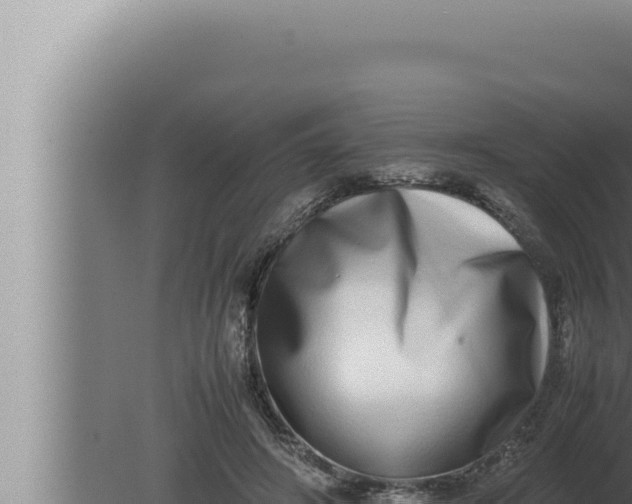 X0000080110498200612221808