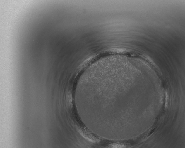 X0000080110500200612221808