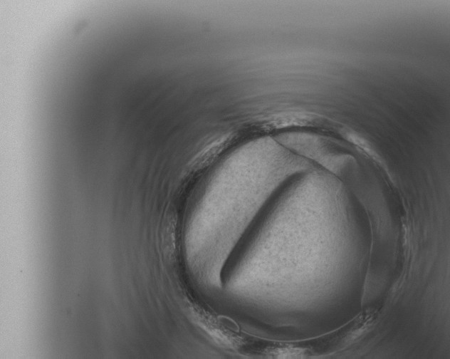 X0000080110501200612221808