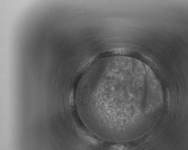 X0000080110502200612221808