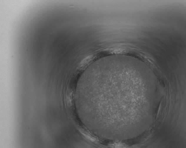 X0000080110503200612221808