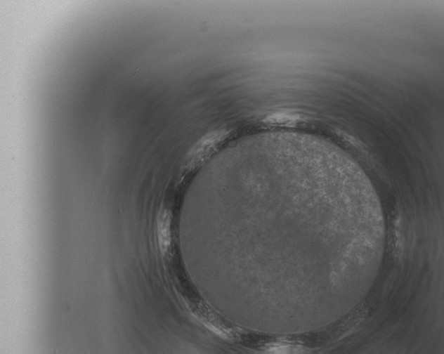 X0000080110504200612221808