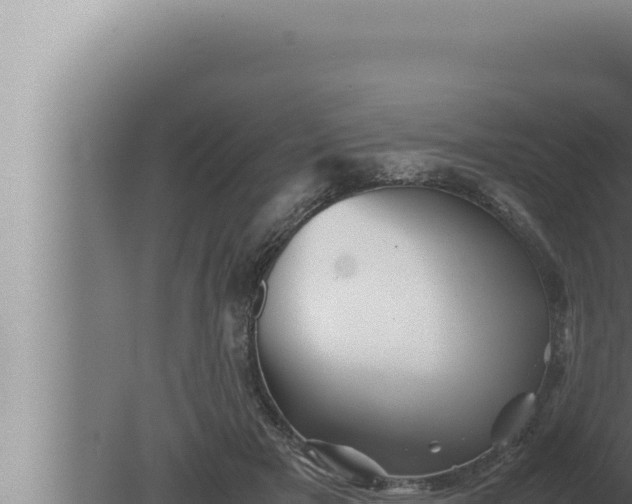 X0000080110505200612221808