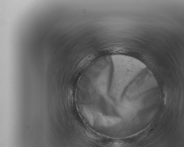 X0000080110506200612221808